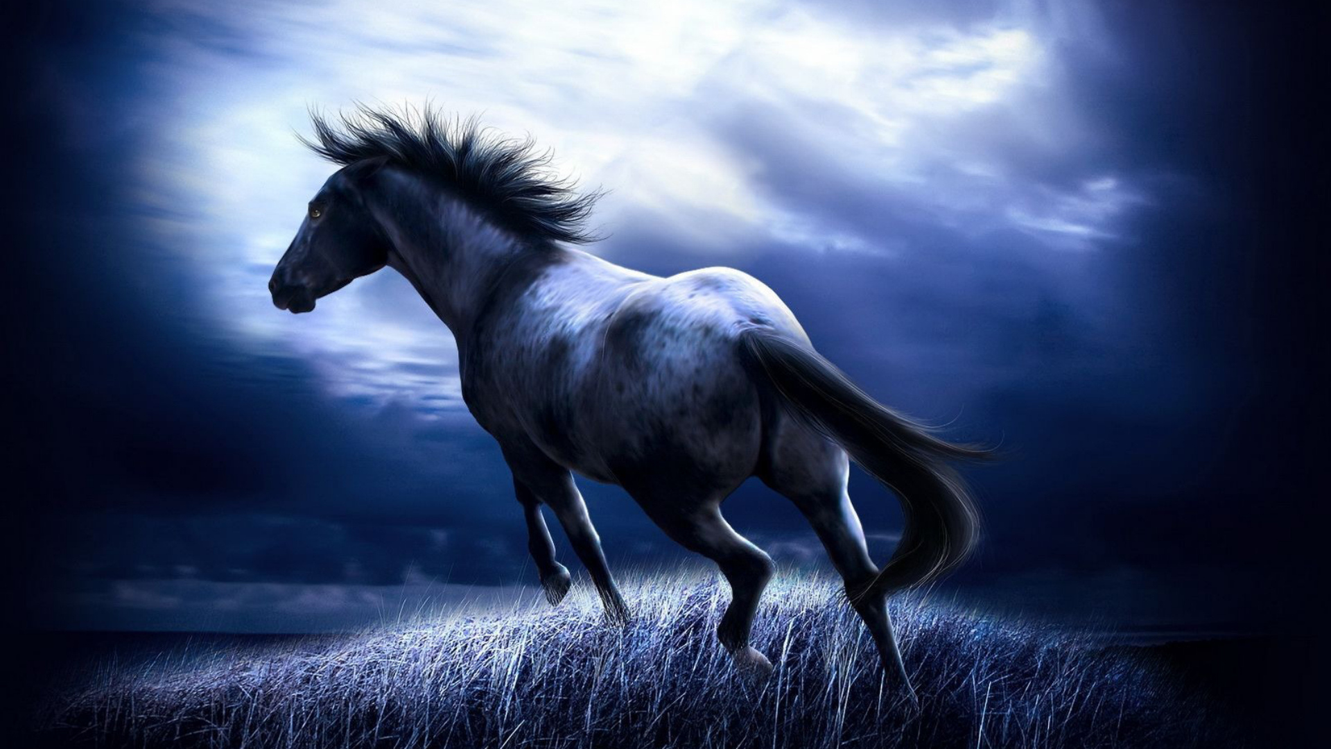 Horse Painting Wallpapers, Pictures, Images