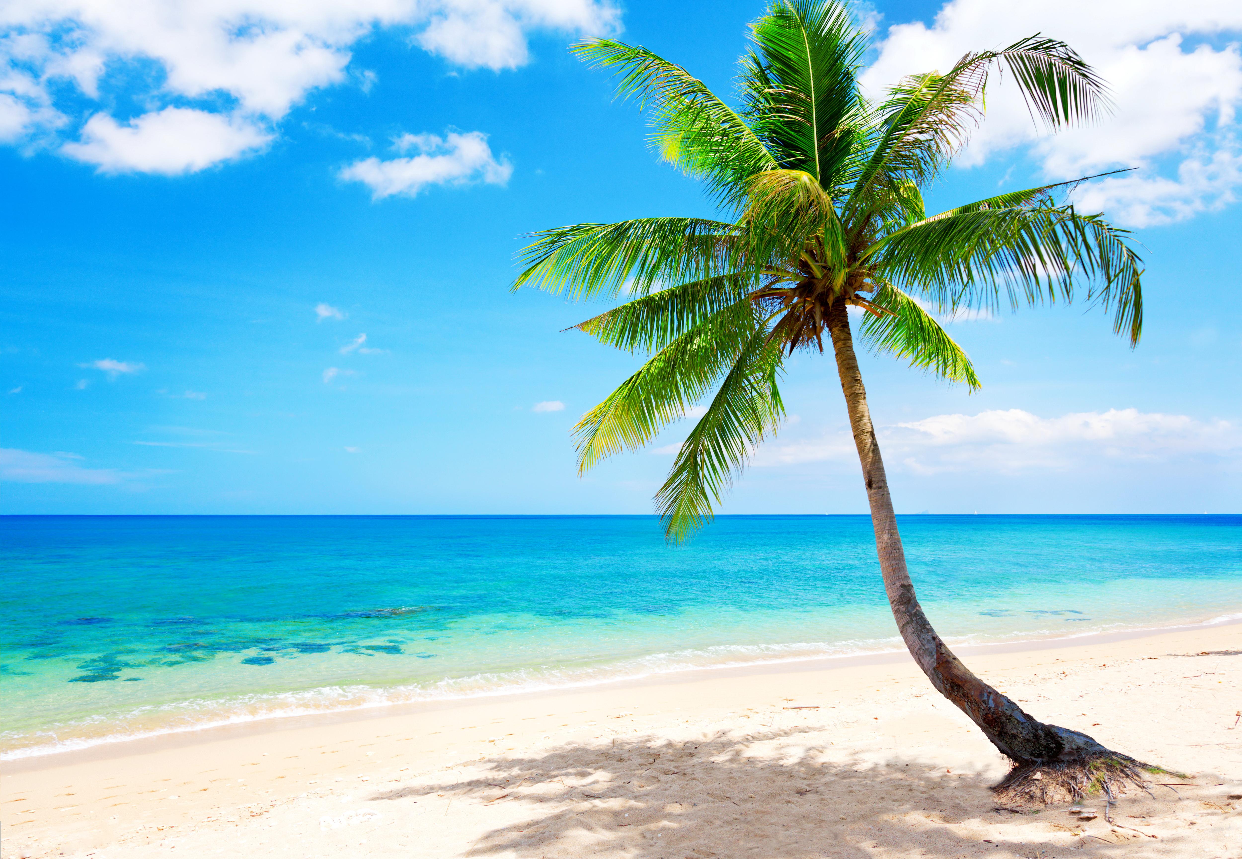 tropical-beach-wallpapers-pictures-images