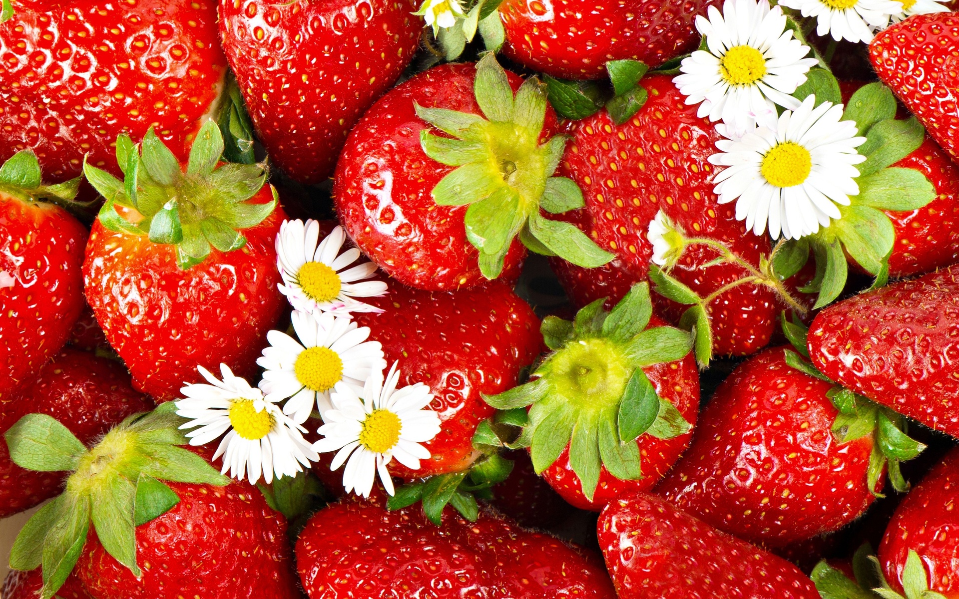 Strawberry Wallpapers Pictures Images HD Wallpapers Download Free Images Wallpaper [wallpaper981.blogspot.com]