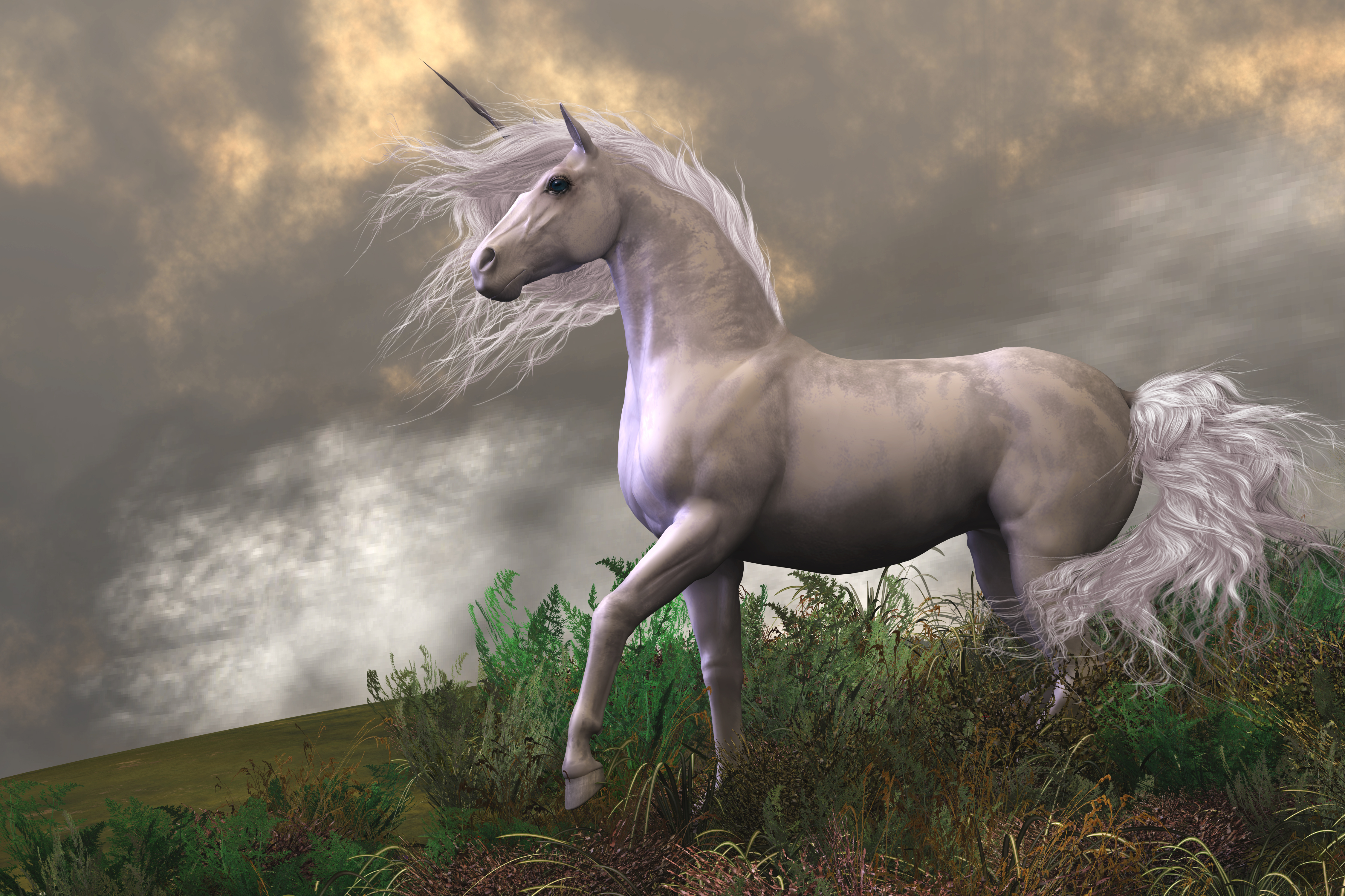 unicorn hd wallpapers pictures images