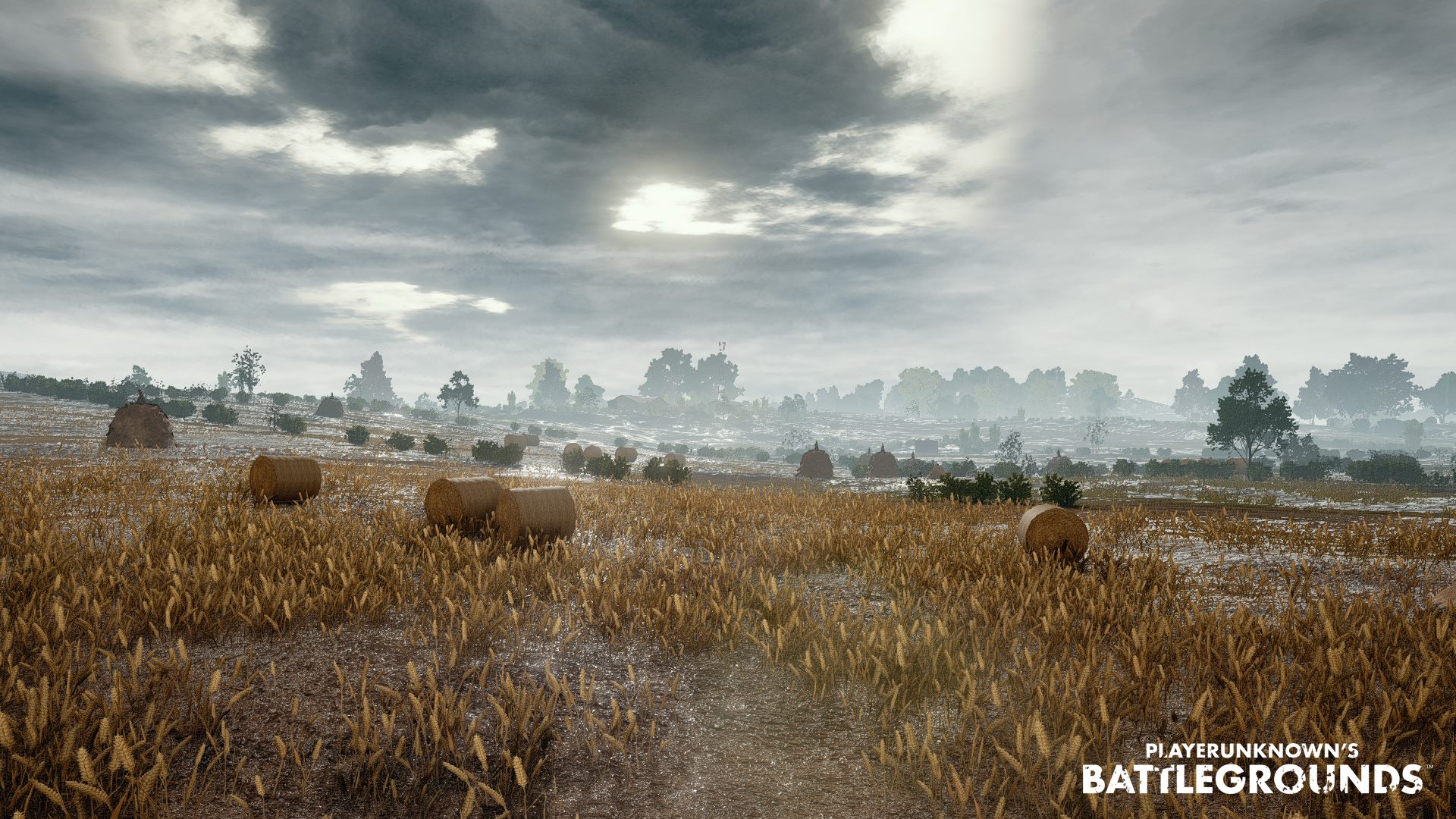 Playerunknown S Battlegrounds Backgrounds Pictures Images