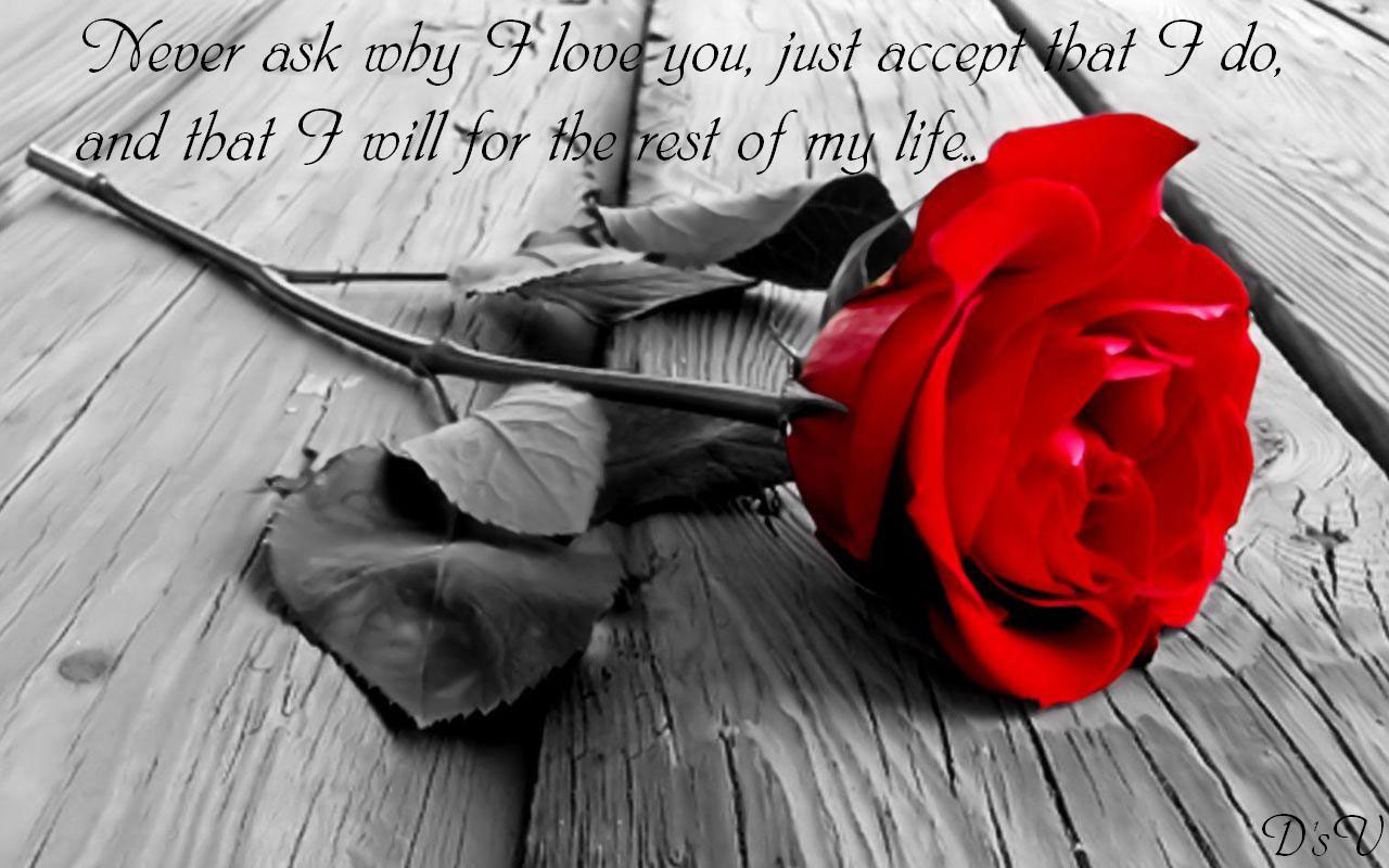 Love Quote Wallpapers, Pictures, Images