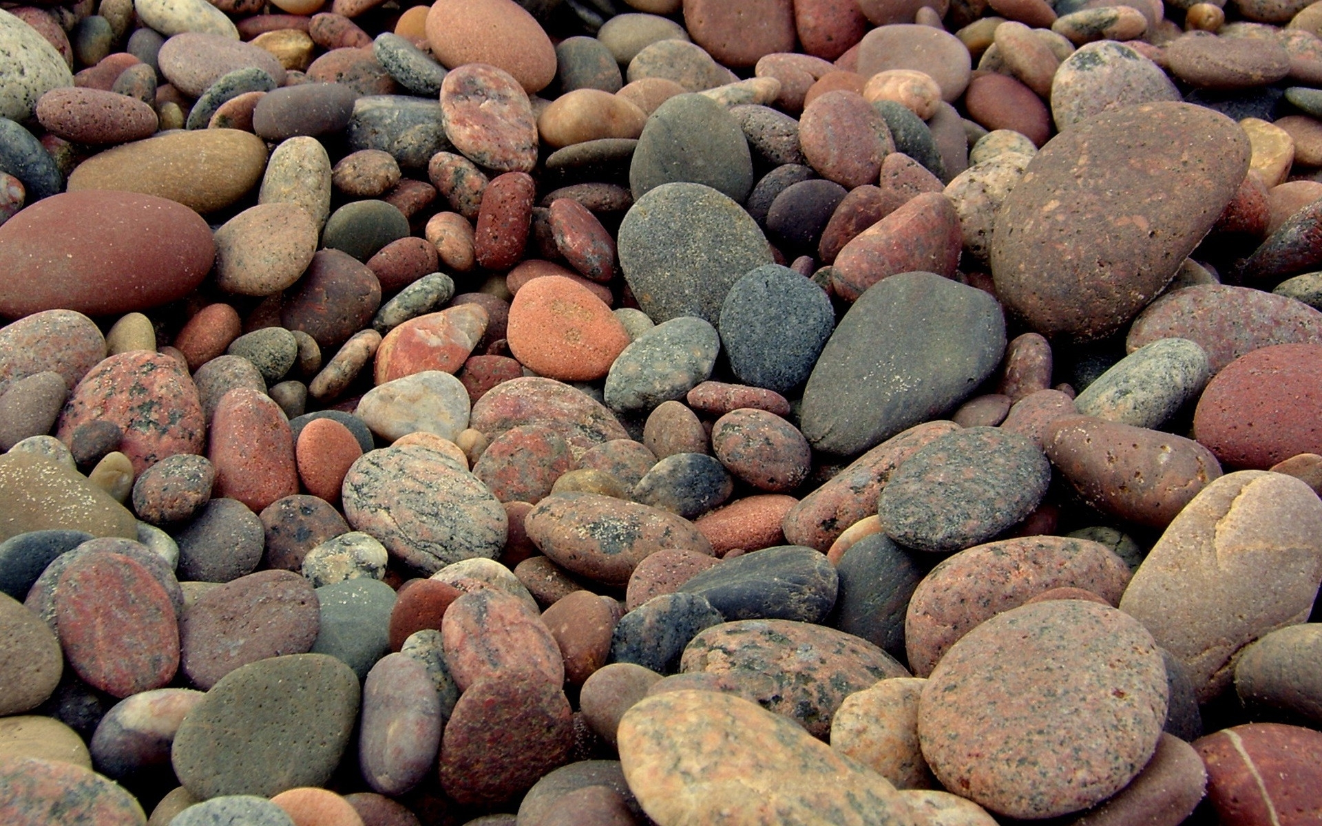 Pebbles Wallpapers Pictures Images HD Wallpapers Download Free Map Images Wallpaper [wallpaper376.blogspot.com]