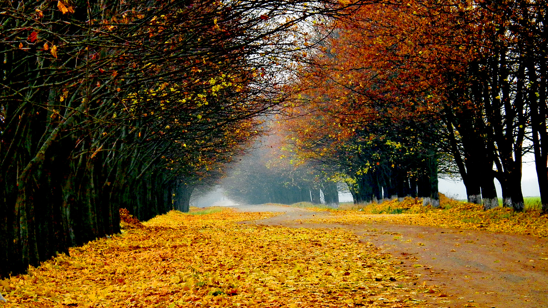 Autumn Scenery Wallpapers, Pictures, Images