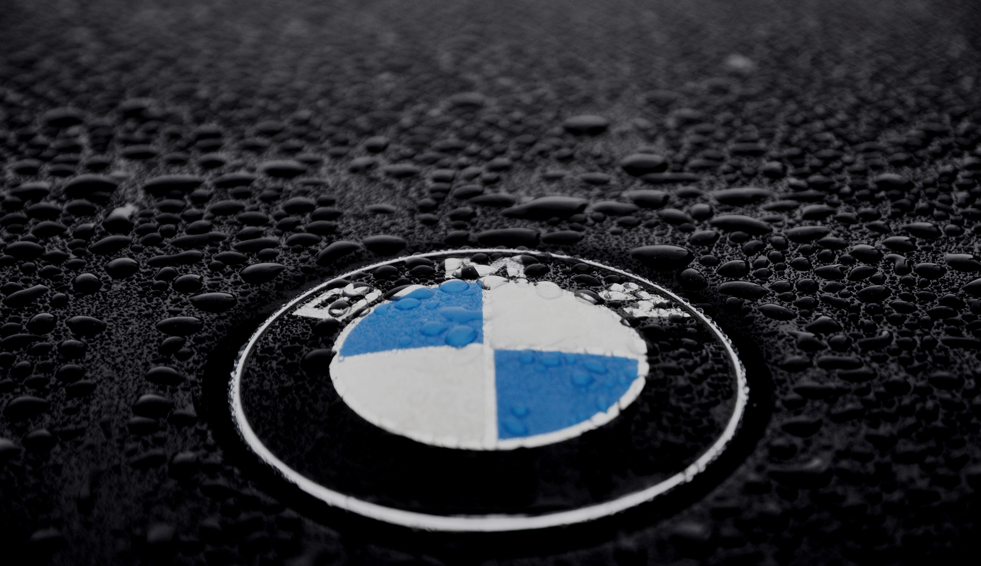 Bmw Logo Wallpapers Pictures Images HD Wallpapers Download Free Map Images Wallpaper [wallpaper376.blogspot.com]