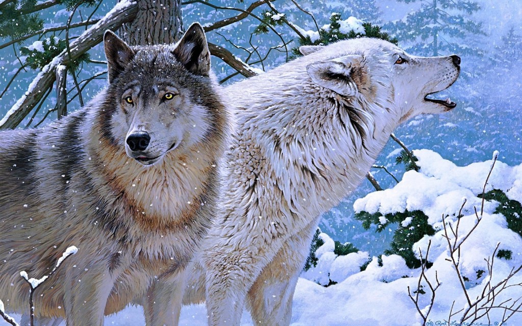 Wolf Widescreen Wallpaper 2560x1600