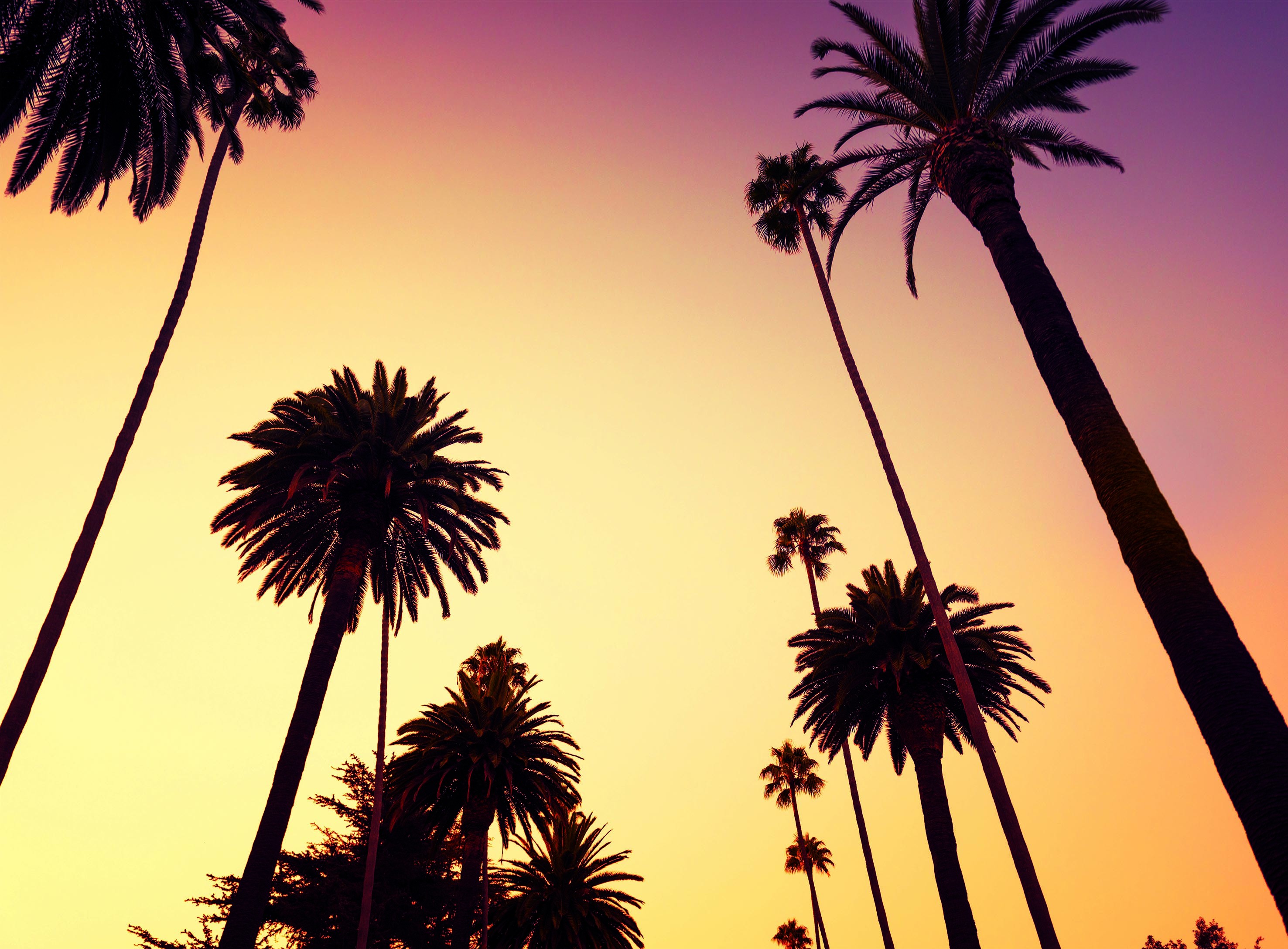 57+ California Wallpapers: HD, 4K, 5K for PC and Mobile | Download free  images for iPhone, Android