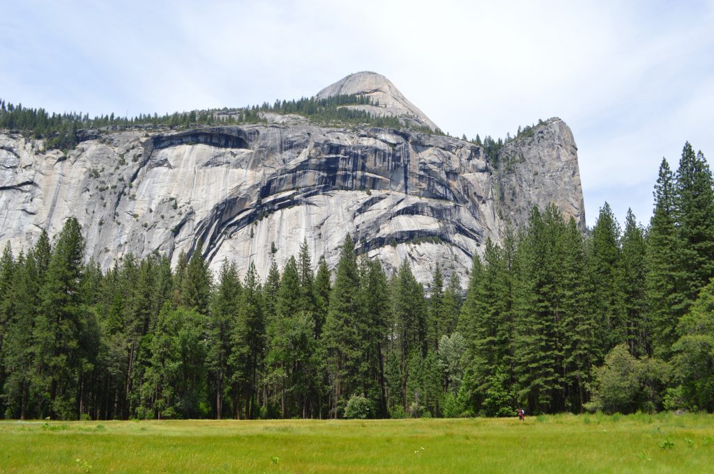 Yosemite National Park Wallpaper 6016x4000