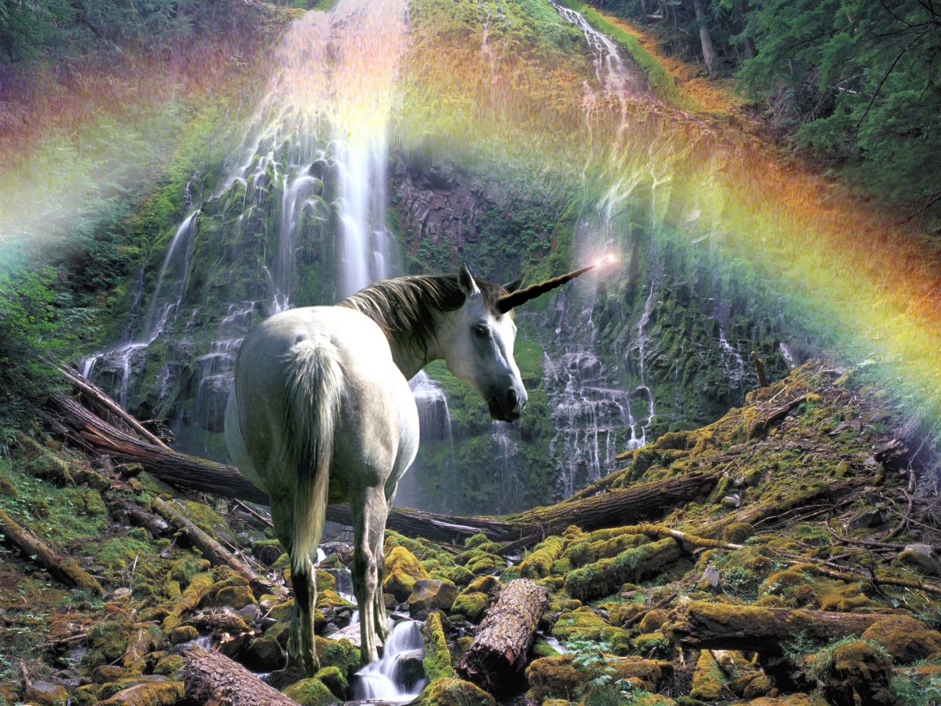 rainbow unicorn wallpaper widescreen