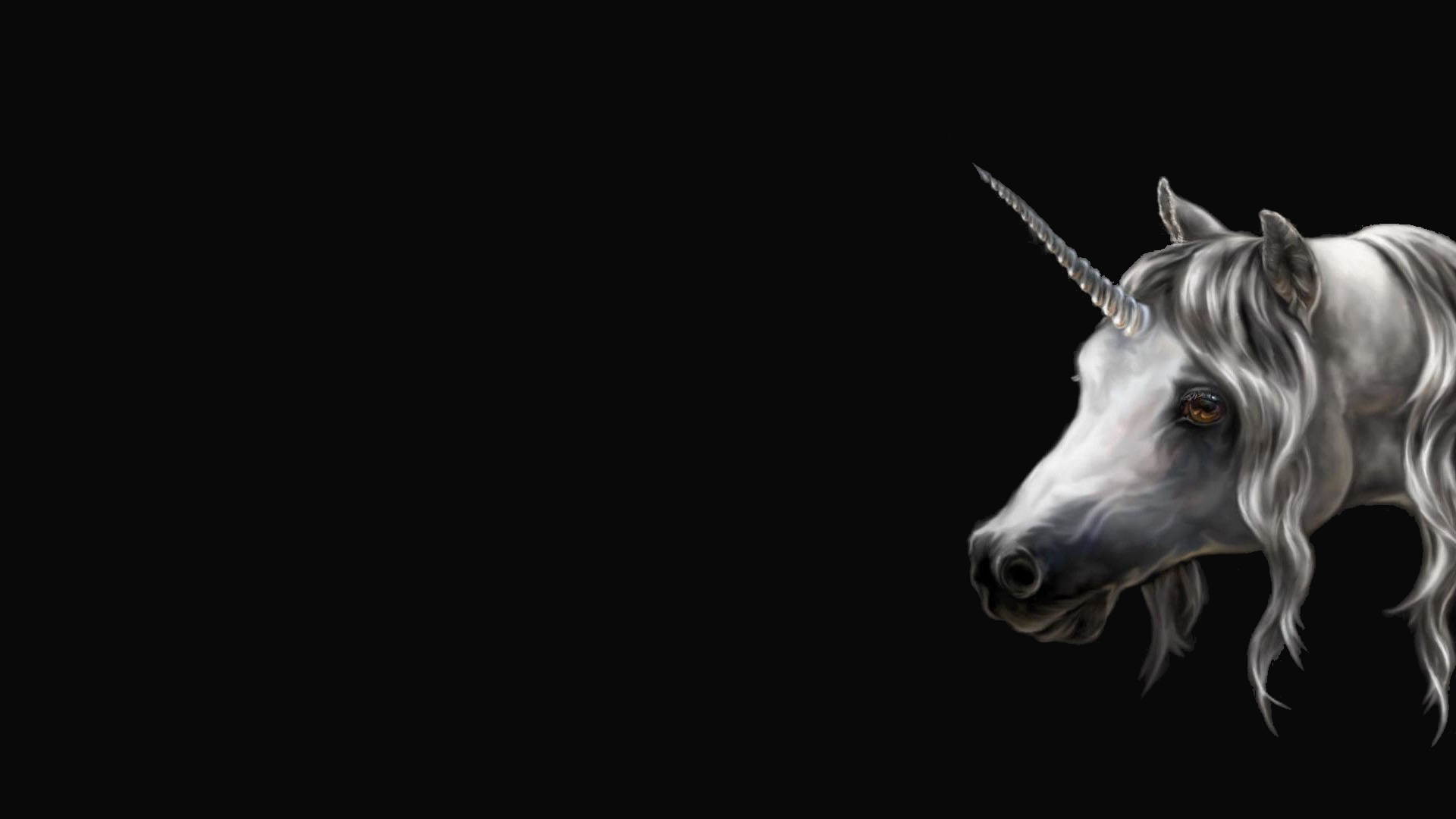 Unicorn  Backgrounds  Pictures Images
