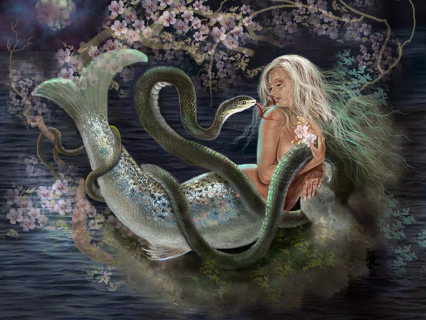 Mermaid Wallpapers Pictures Images HD Wallpapers Download Free Images Wallpaper [wallpaper981.blogspot.com]