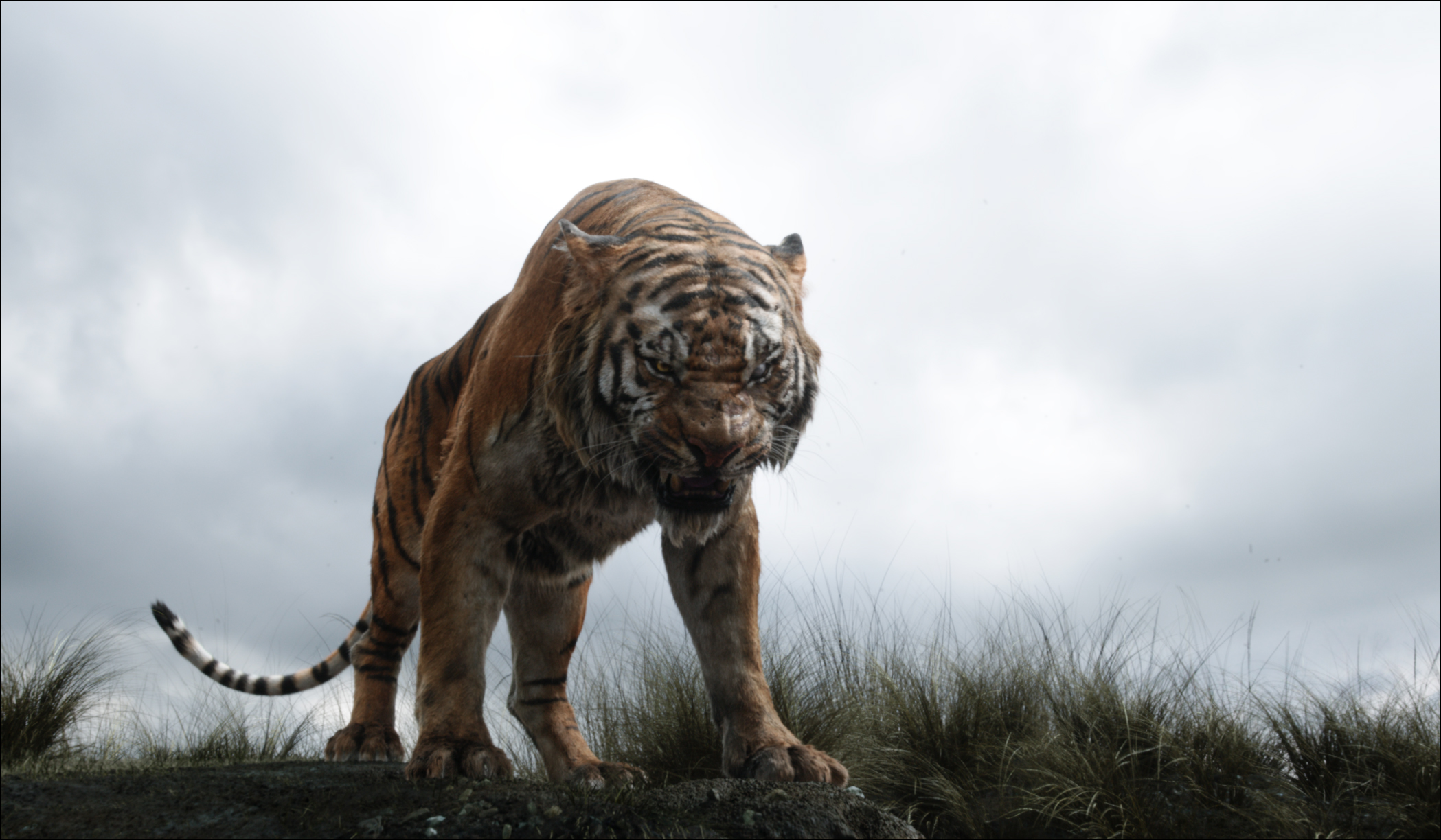 The Jungle Book 2019 Wallpapers Pictures Images