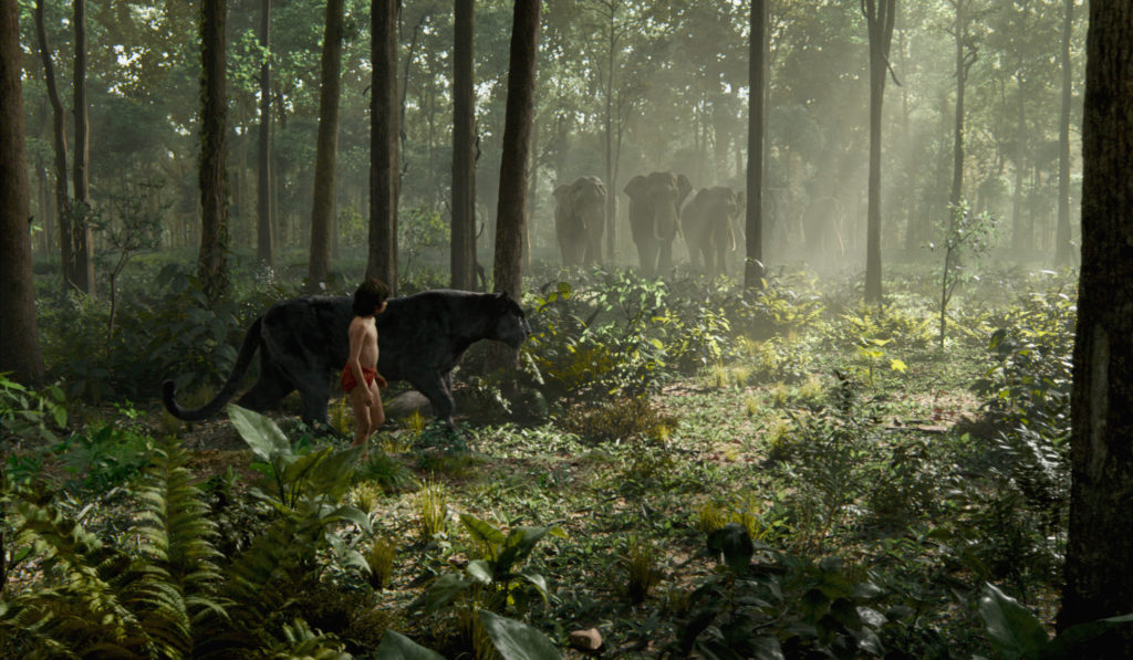 The Jungle Book (2016) Wallpaper