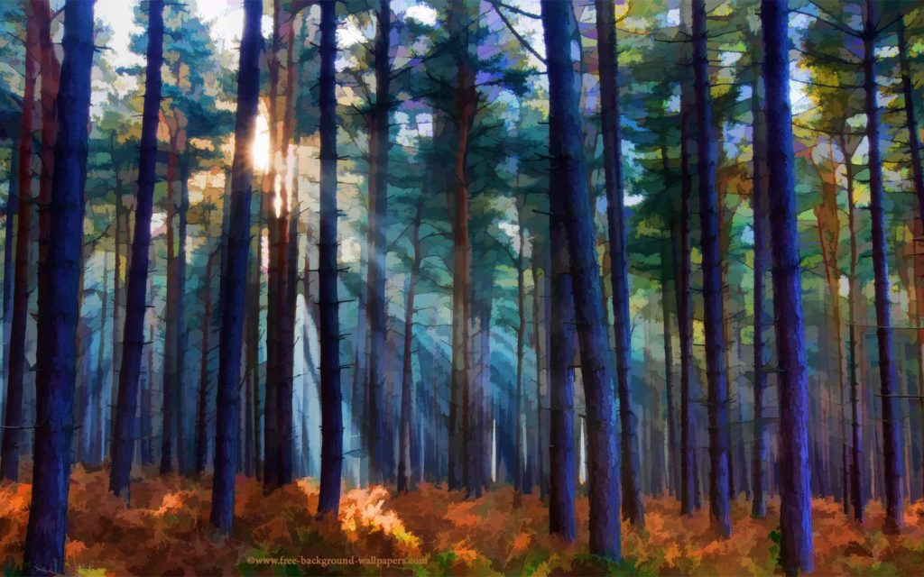 Forest Widescreen Wallpaper