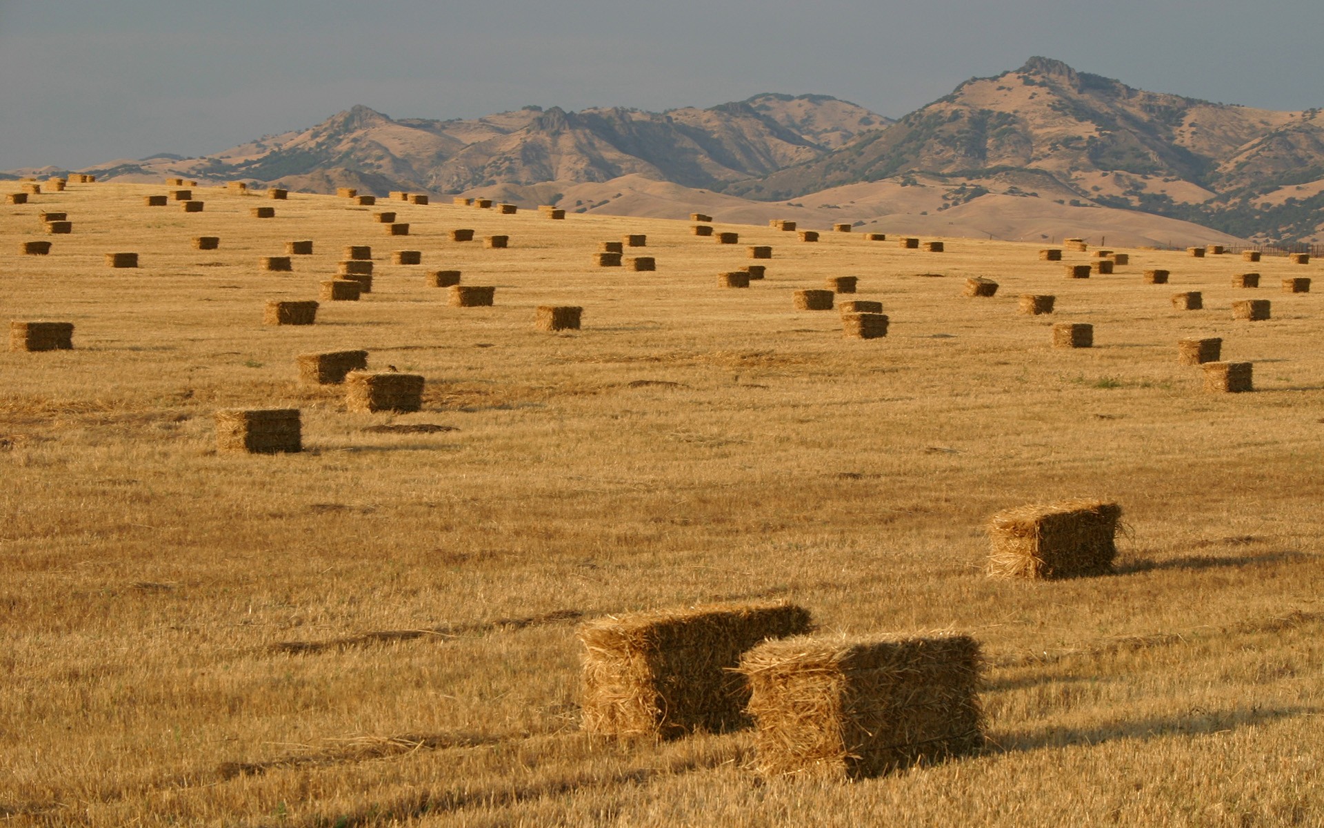 Haystack Royalty Free Stock Images - Image: 203439