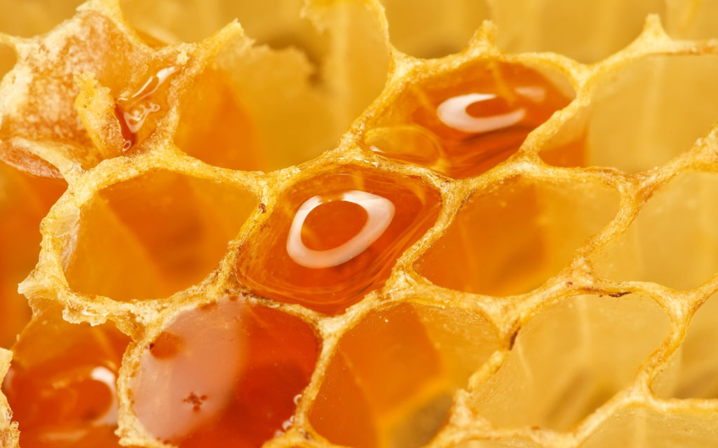 Honey Widescreen Wallpaper