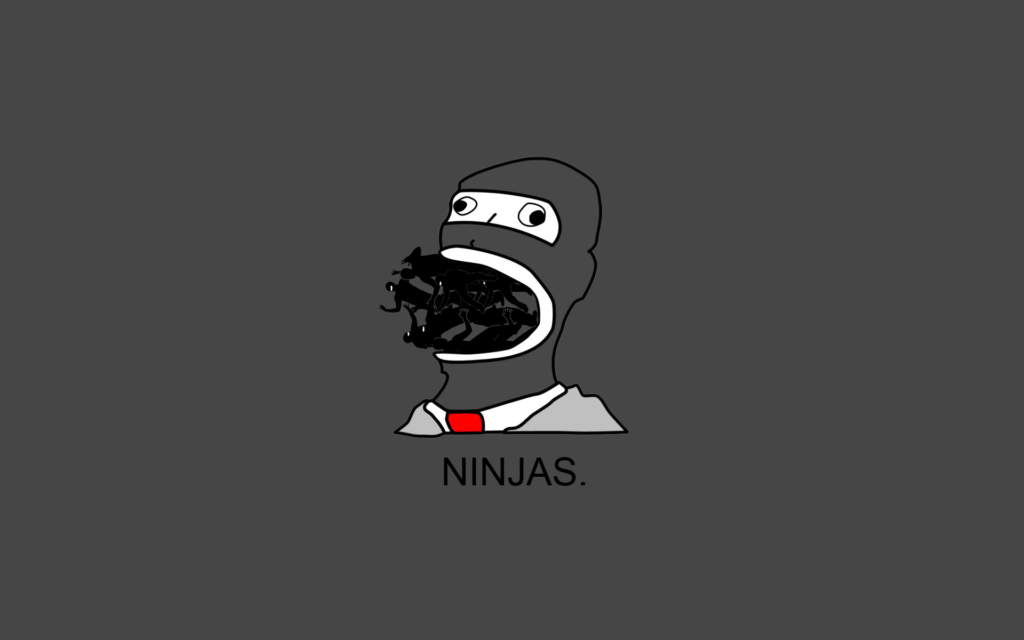 Ninja Widescreen Wallpaper