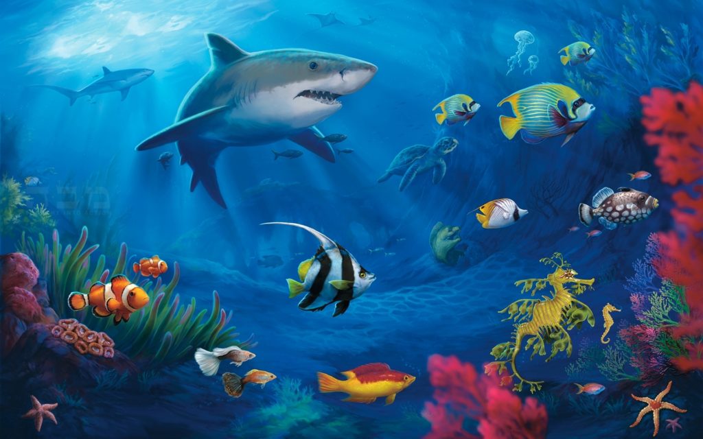Shark Widescreen Wallpaper