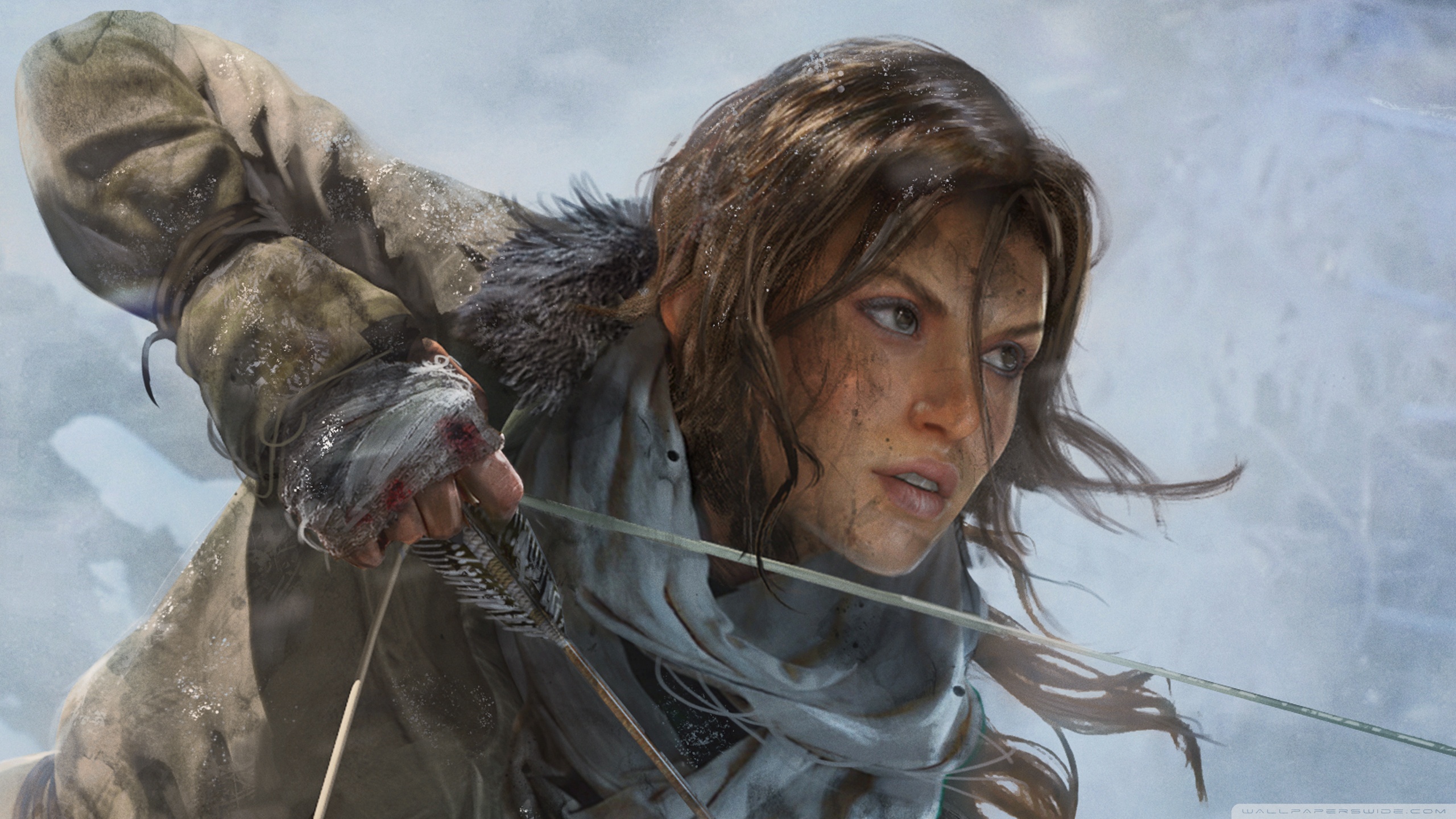 1920x1080 rise of the tomb raider