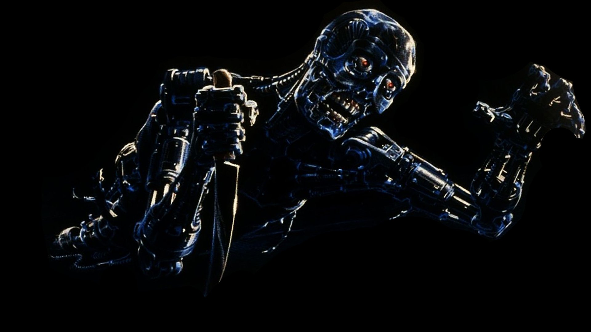 The Terminator Wallpapers Pictures Images HD Wallpapers Download Free Images Wallpaper [wallpaper981.blogspot.com]