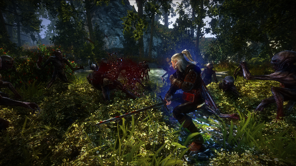 The Witcher 2: Assassins Of Kings Full HD Wallpaper