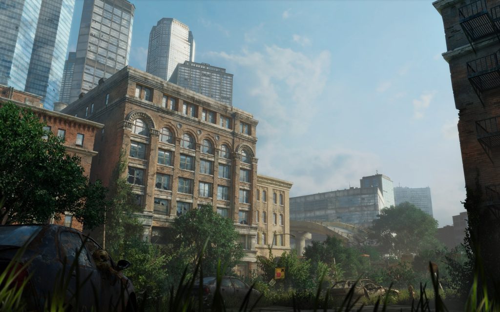 The Last Of Us Widescreen Background