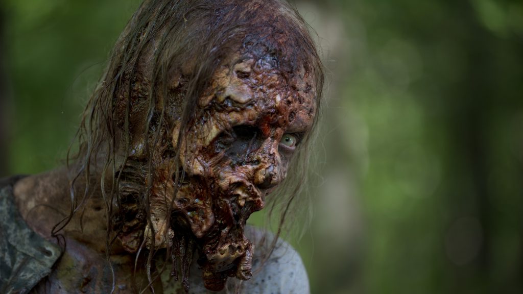 The Walking Dead HD Background
