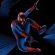 Spider-Man Backgrounds