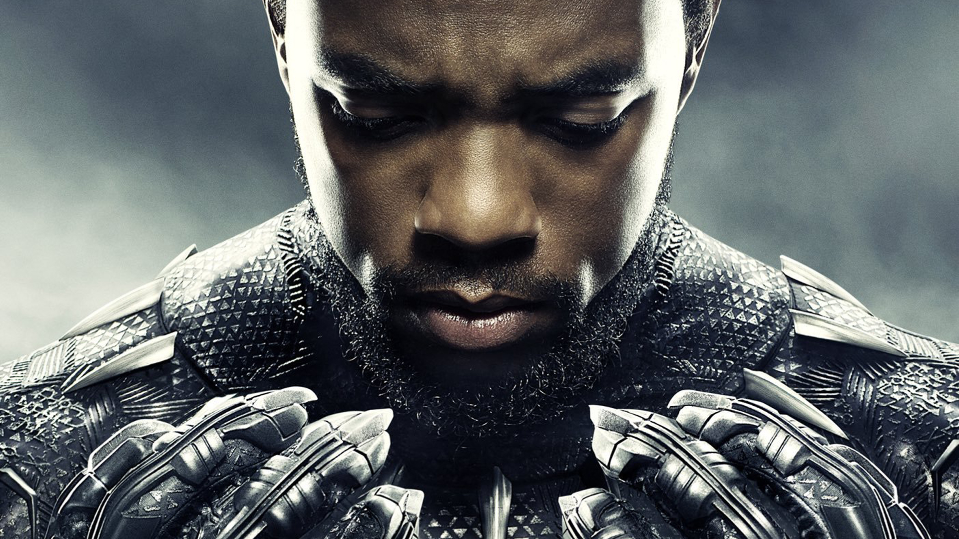 Black Panther Hd Backgrounds Pictures Images