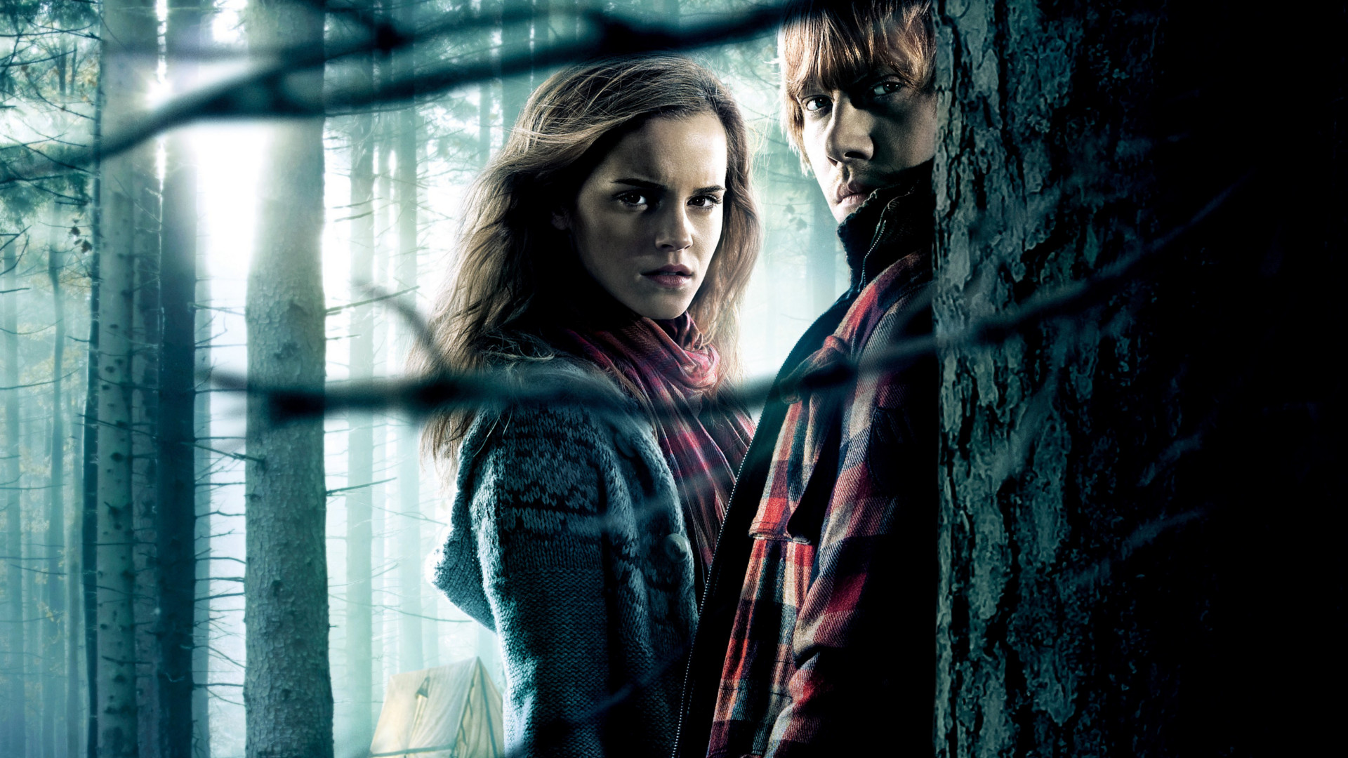 Harry Potter And The Deathly Hallows: Part 1 HD Wallpapers ...