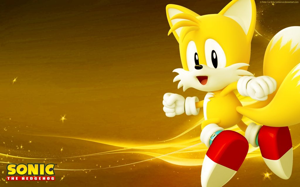 Sonic The Hedgehog HD Widescreen Wallpaper