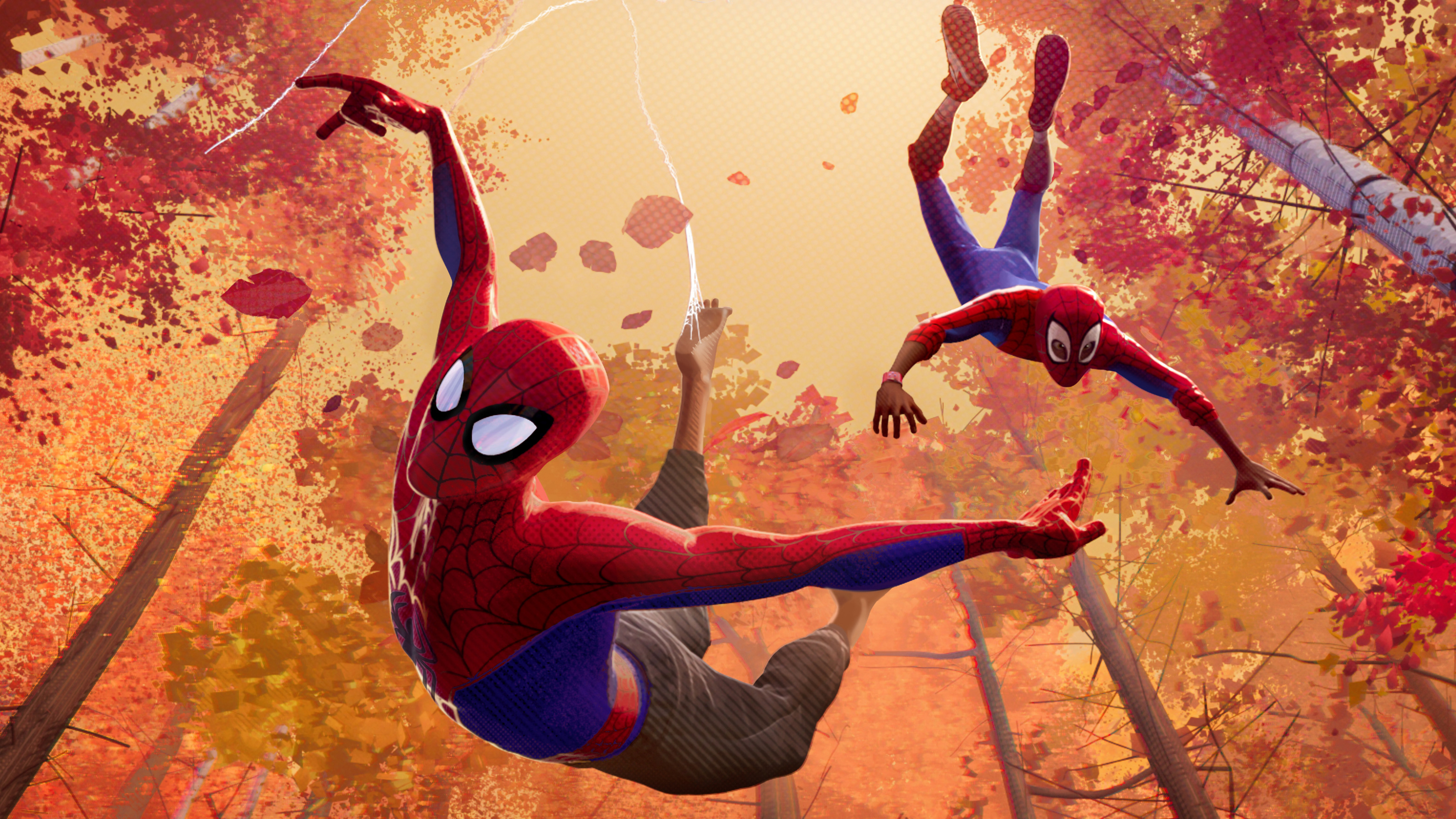 spiderman into the spiderverse wallpapers pictures images