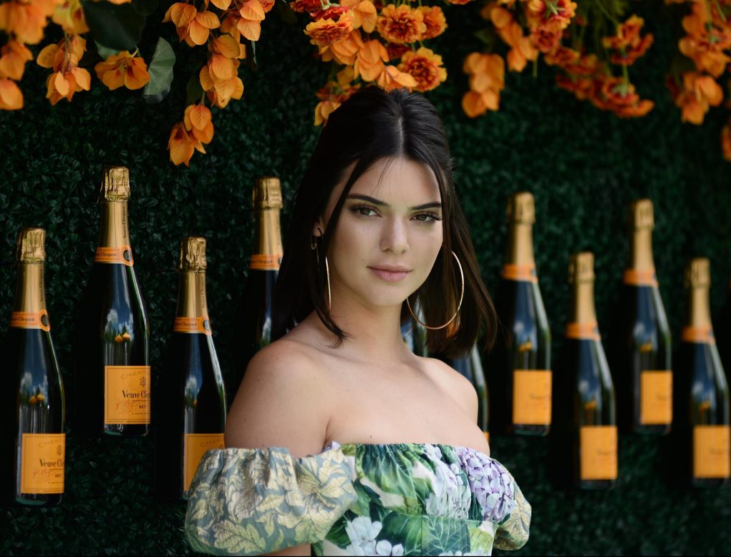 Kendall Jenner HD Background