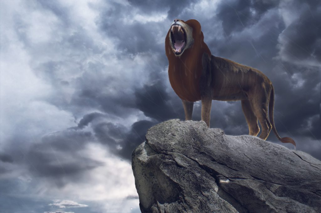 The Lion King (2019) Wallpaper