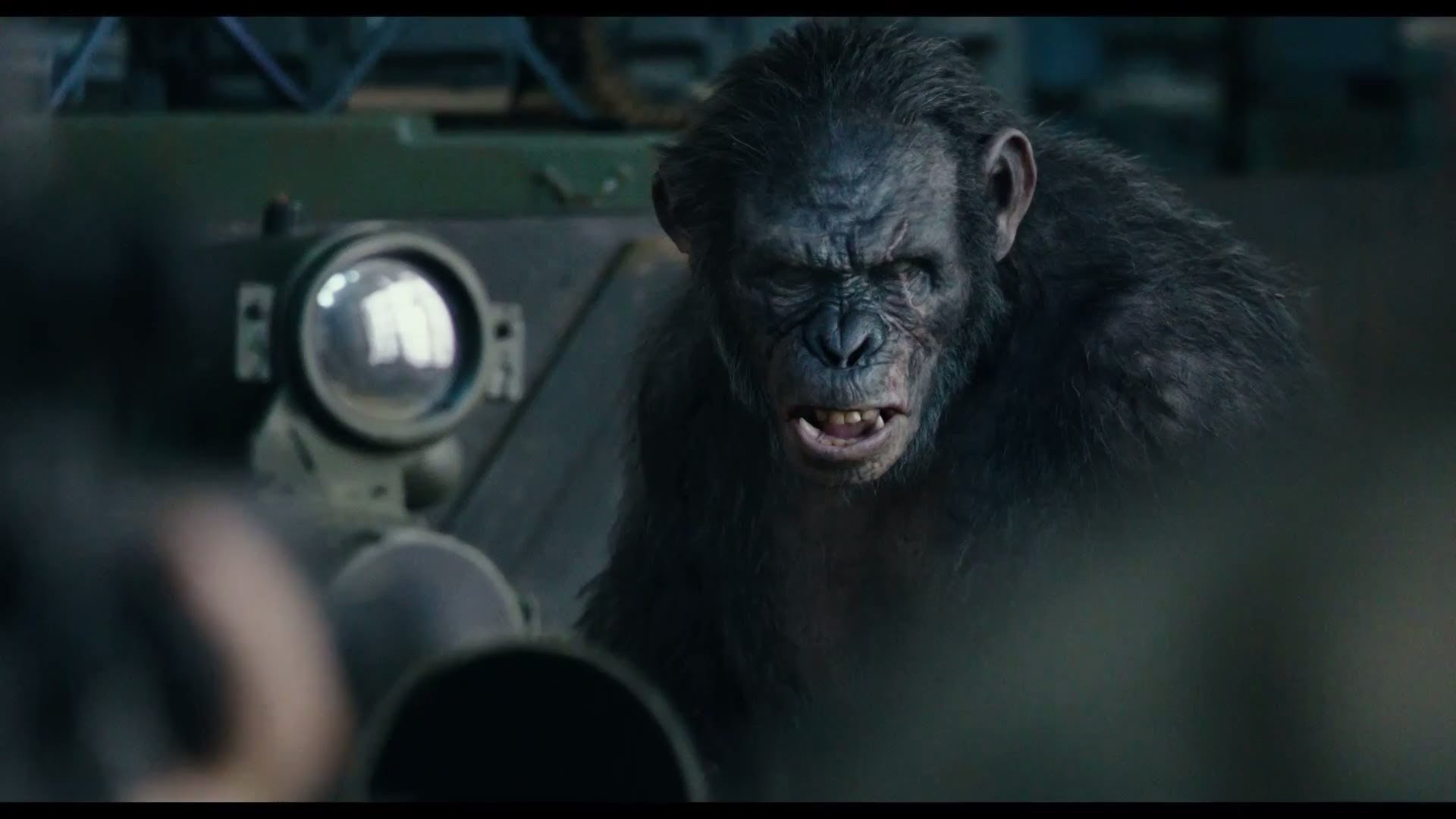 Планета обезьян революция 2014 субтитры обезьян. Тоби Кеббелл Планета обезьян. Планета обезьян революция Коба. Планета обезьян 2014.