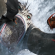 How To Train Your Dragon 2 HD Wallpapers