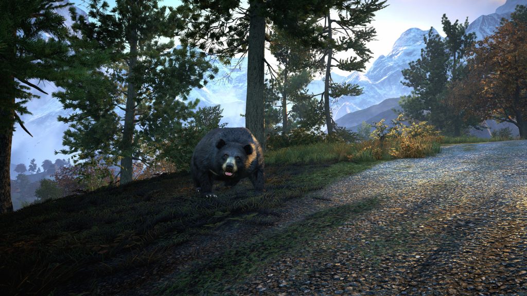 Far Cry 4 HD Quad HD Wallpaper