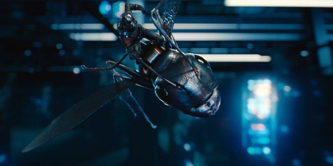 Ant-Man HD Wallpapers