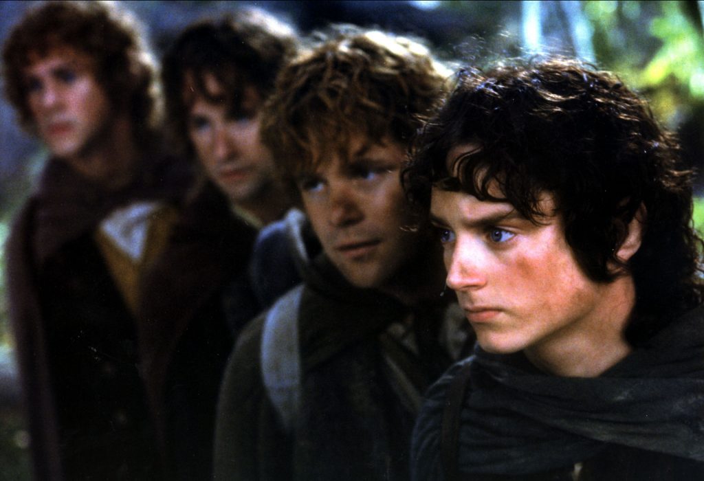 The Lord Of The Rings: The Fellowship Of The Ring Background