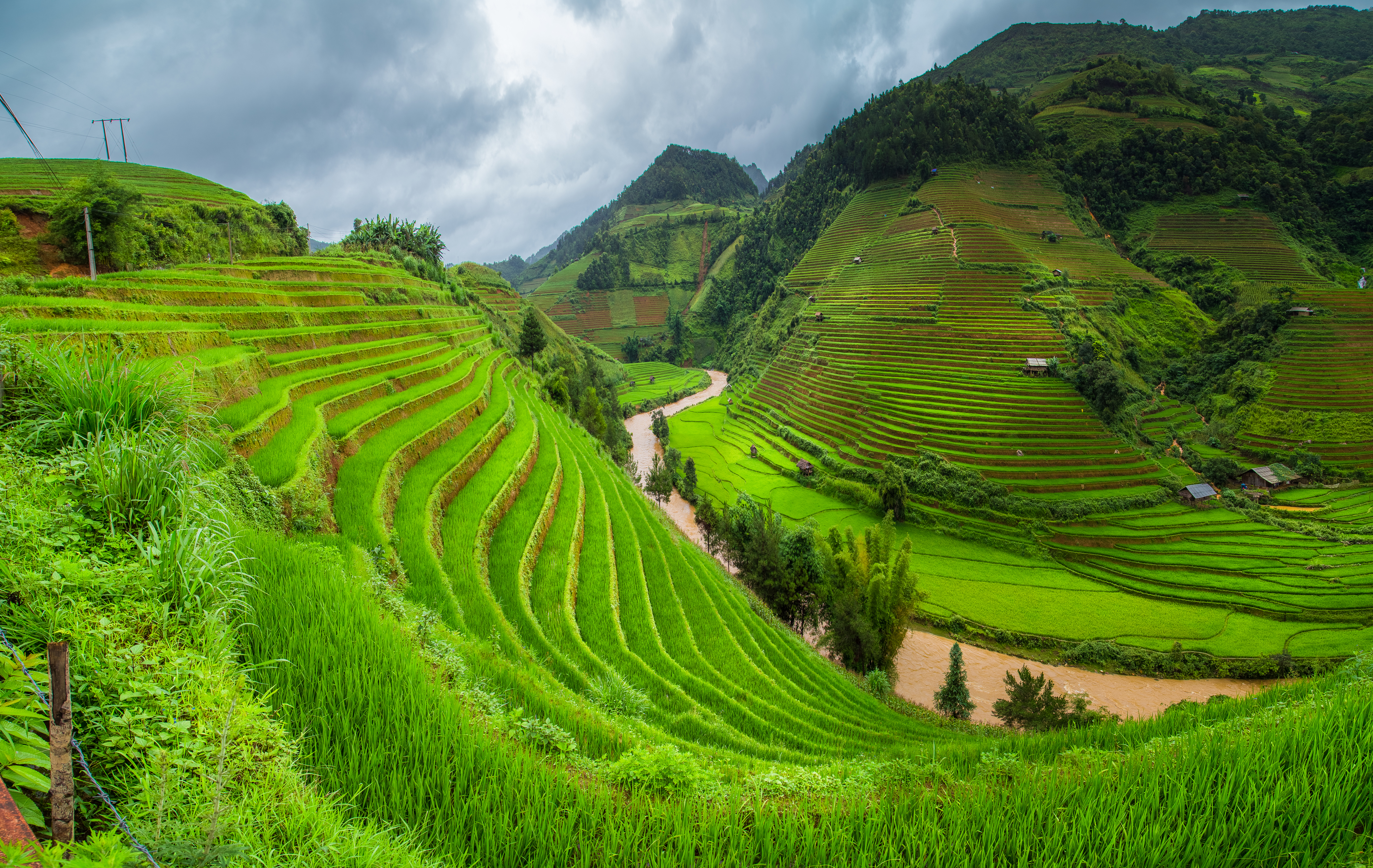 Рис холмы. Юньнань чайные плантации. Шри Ланка Вьетнам чайные плантации. Террасирование склонов Китай. Шри Ланка рисовые поля.