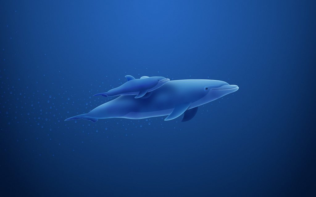Dolphin Widescreen Background