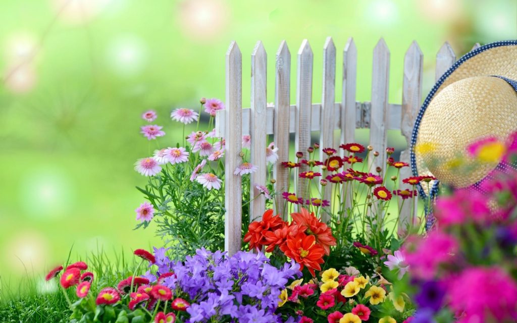 Fence Widescreen Background