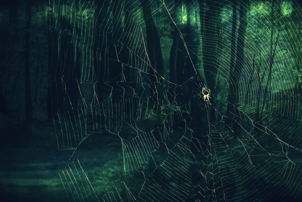 Spider Background