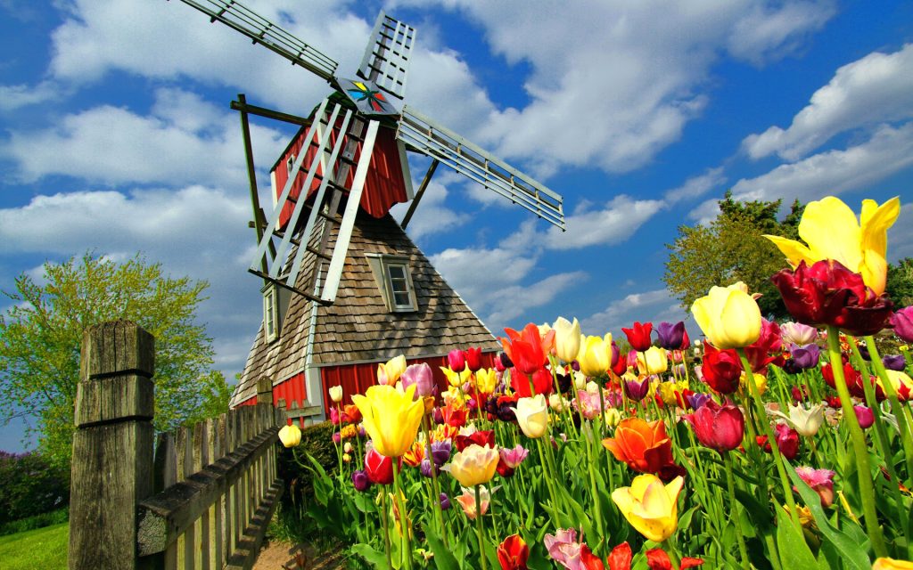 Windmill Widescreen Background