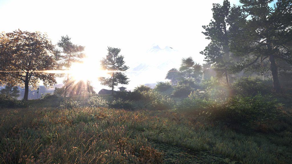Far Cry 4 HD Quad HD Background