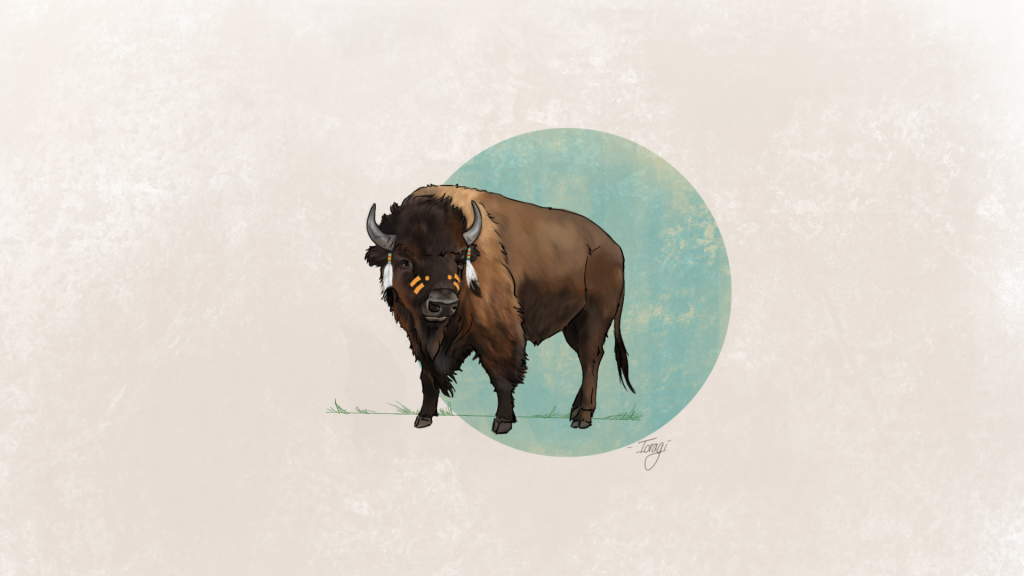 American Bison Full HD Background