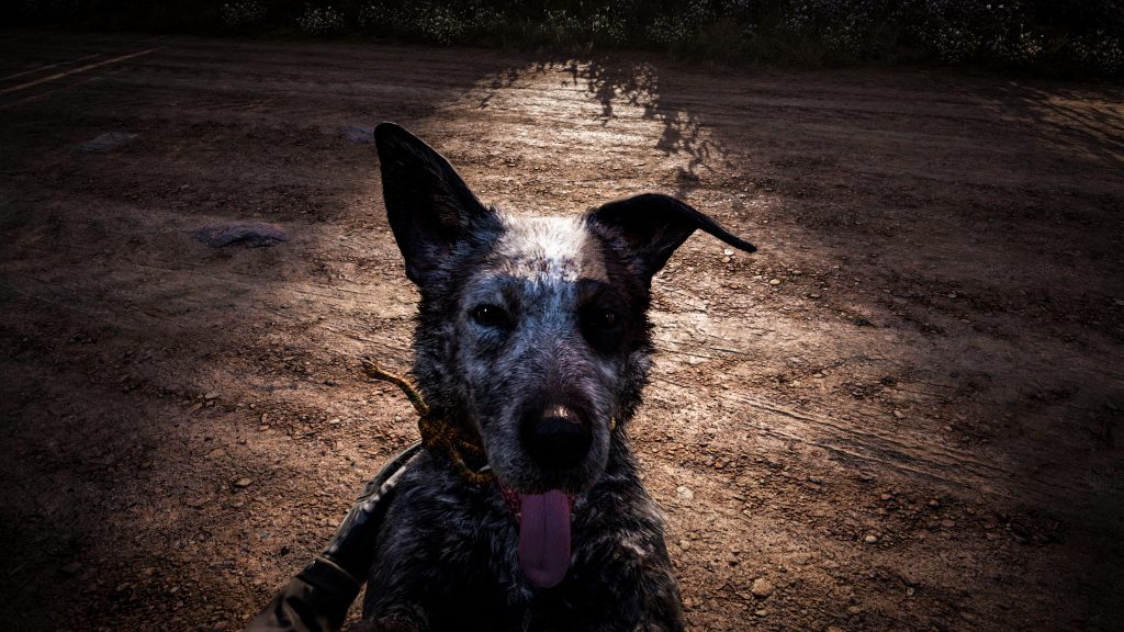 Far Cry 5 Quad HD Background