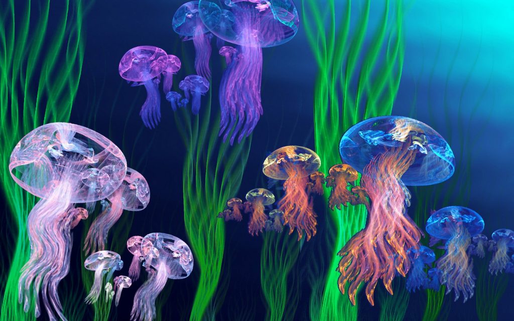 Jellyfish Widescreen Background