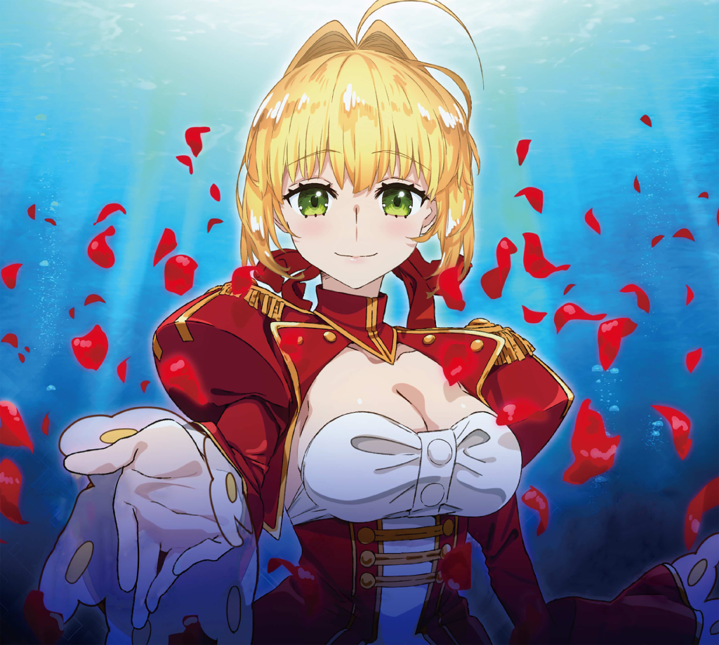 Fate/Extra Background
